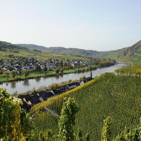 Sch Ne Wohnung In Der Moselregion Kinheim Buitenkant foto