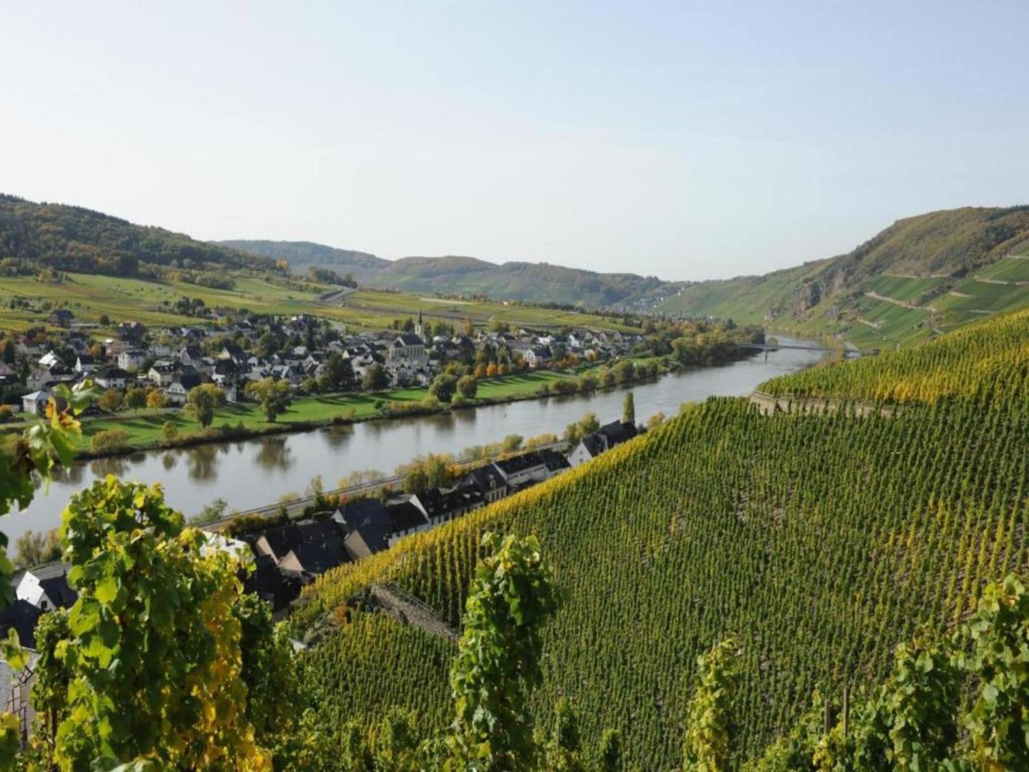 Sch Ne Wohnung In Der Moselregion Kinheim Buitenkant foto