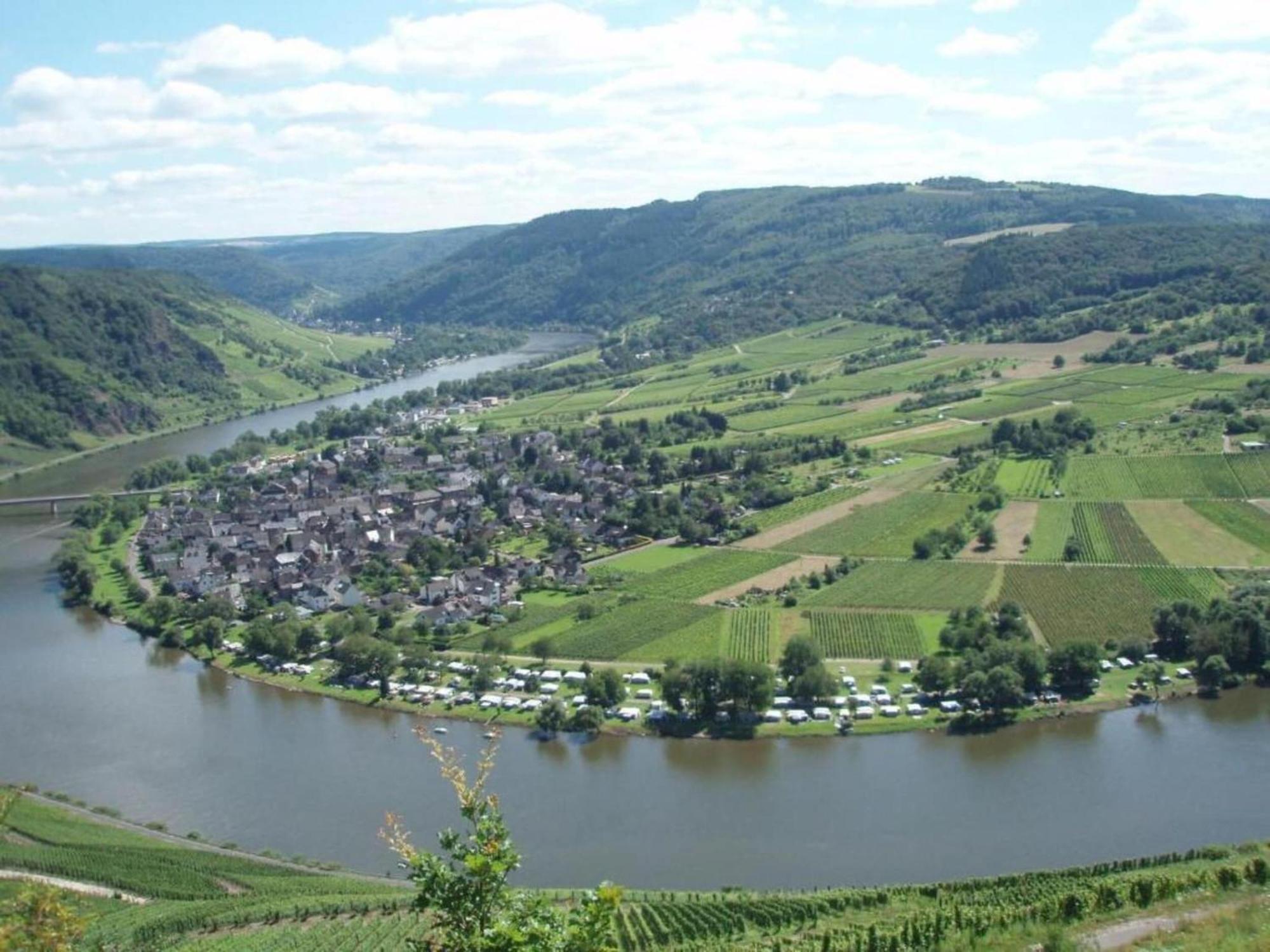 Sch Ne Wohnung In Der Moselregion Kinheim Buitenkant foto