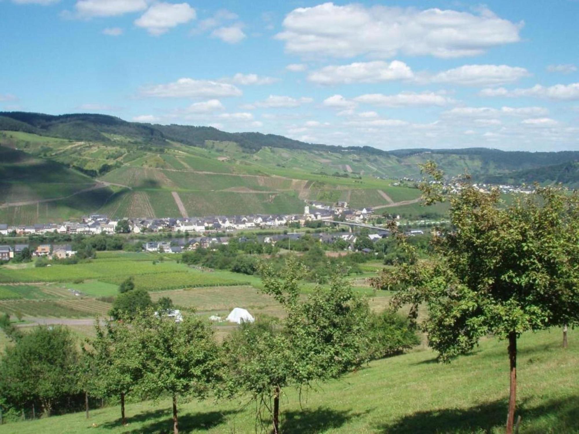 Sch Ne Wohnung In Der Moselregion Kinheim Buitenkant foto