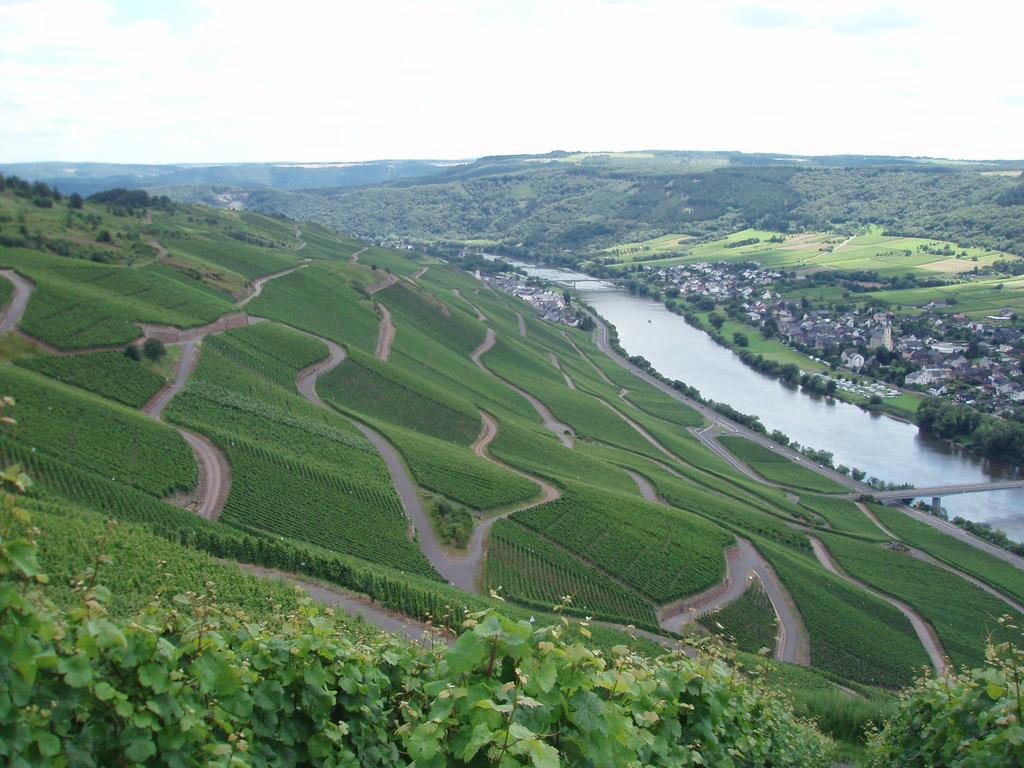 Sch Ne Wohnung In Der Moselregion Kinheim Buitenkant foto