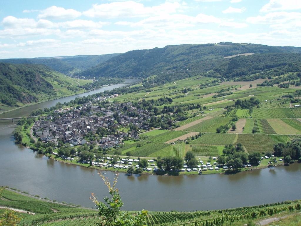 Sch Ne Wohnung In Der Moselregion Kinheim Buitenkant foto